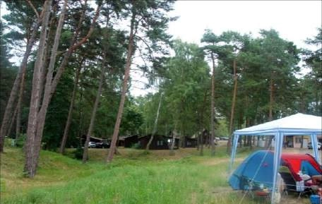 Galeria - zdjęcie 9