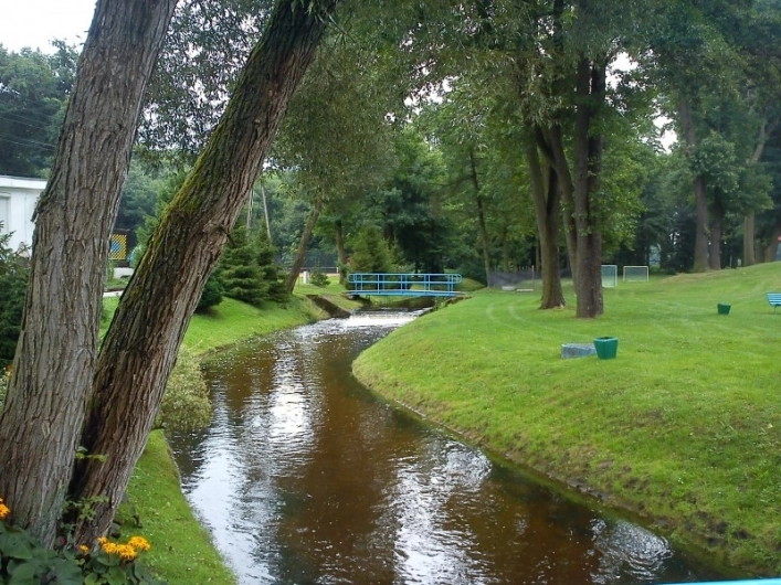 Galeria - zdjęcie 8