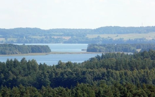 Galeria - zdjęcie 4