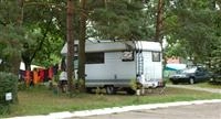"Wigry" Stare Juchy, Camping nr 272 - zdjęcie 2