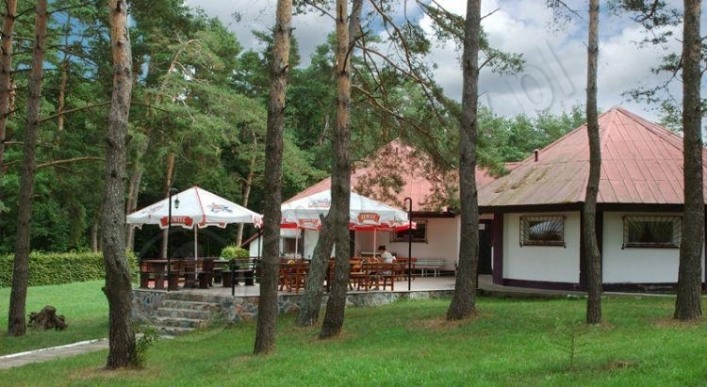 Galeria - zdjęcie 2