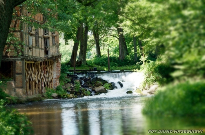 Galeria - zdjęcie 14