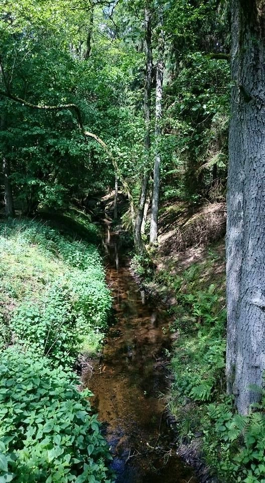 Galeria - zdjęcie 5