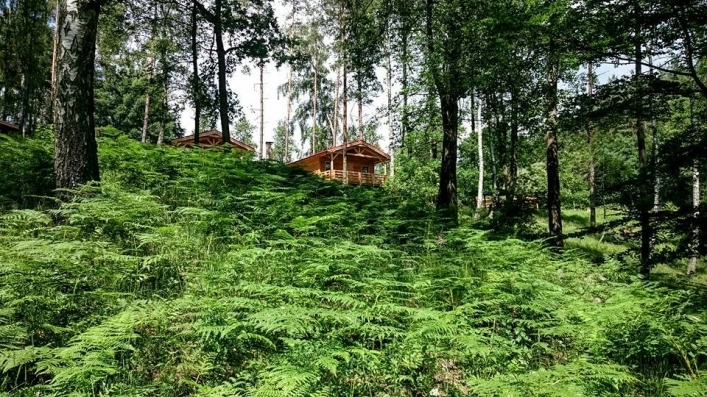 Camping nr 210 Camping WAJK - zdjęcie 3