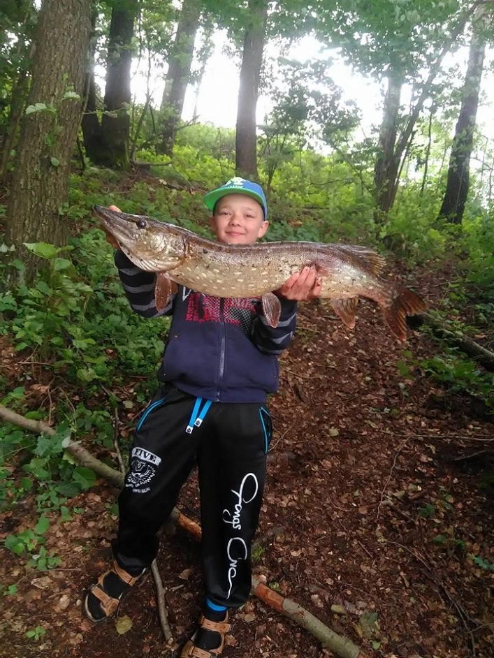 Galeria - zdjęcie 3