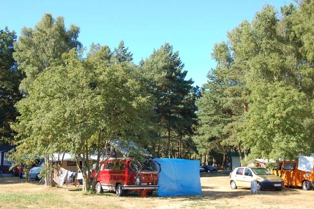 Galeria - zdjęcie 7