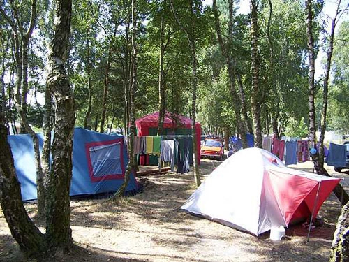 Galeria - zdjęcie 15