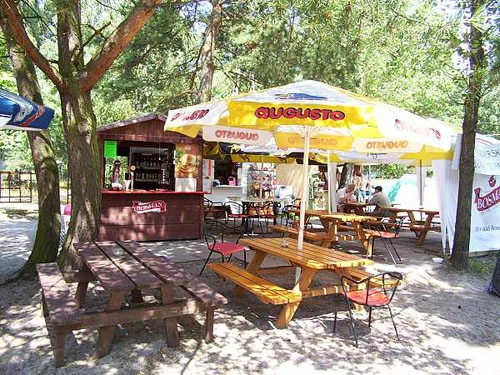 Galeria - zdjęcie 7