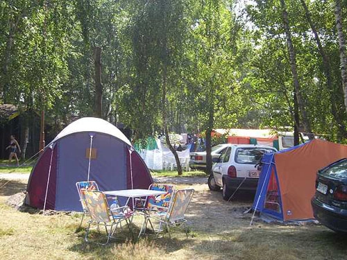 Galeria - zdjęcie 6