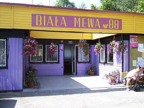 Galeria - zdjęcie 5