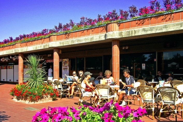 Galeria - zdjęcie 16