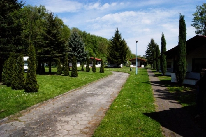 Galeria - zdjęcie 16