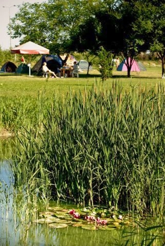 Galeria - zdjęcie 17