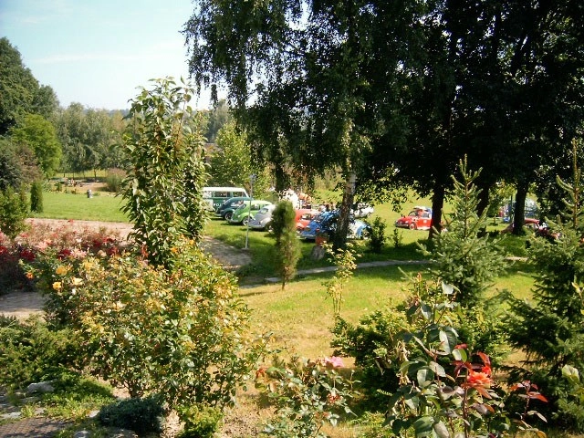 Galeria - zdjęcie 11