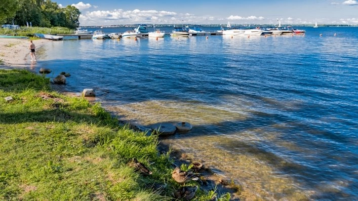 Galeria - zdjęcie 24