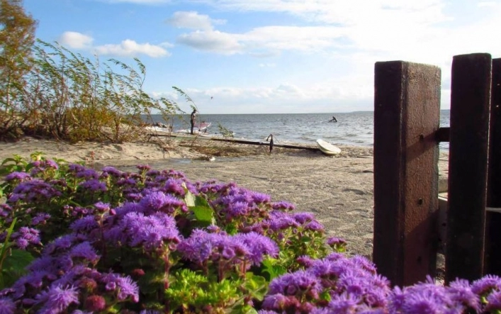 Galeria - zdjęcie 6