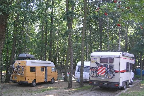 Galeria - zdjęcie 12