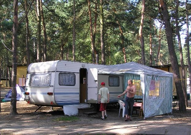 Galeria - zdjęcie 11