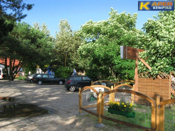 Galeria - zdjęcie 4