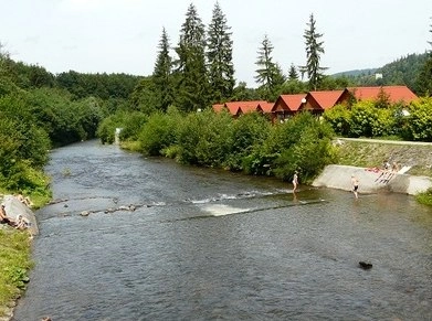 Galeria - zdjęcie 2