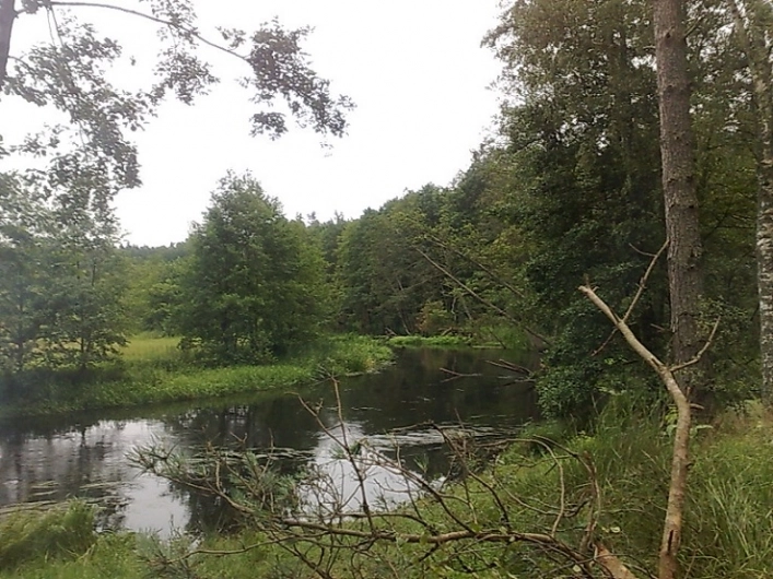 Miejscówka 009 - Smolniki - zdjęcie 4