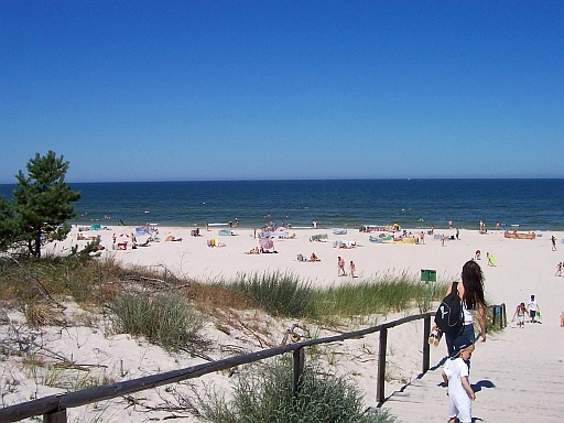 Camping nr 83 Checz Kaszubska - zdjęcie 1