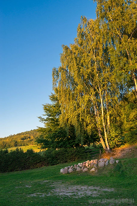 Galeria - zdjęcie 14