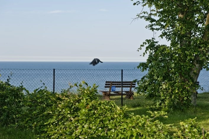 Galeria - zdjęcie 18