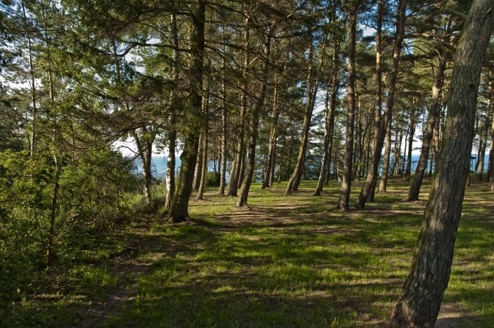 Kemping nr 250 Alexa - zdjęcie 1