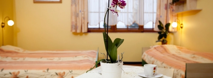 Galeria - zdjęcie 1