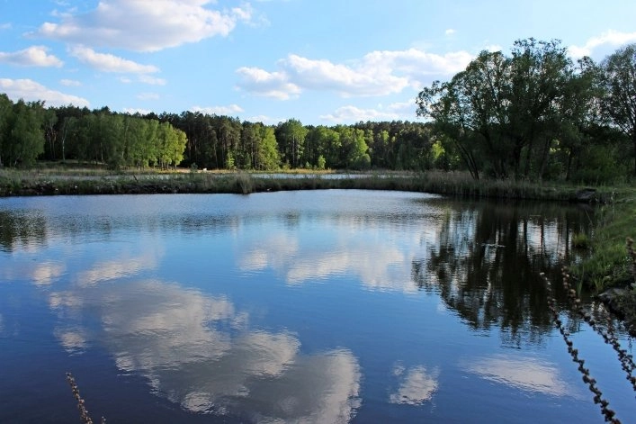 zobacz camping - zdjęcie 24