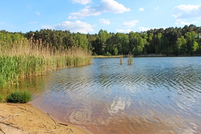 zobacz camping - zdjęcie 23