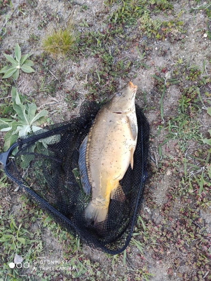 zobacz camping - zdjęcie 1