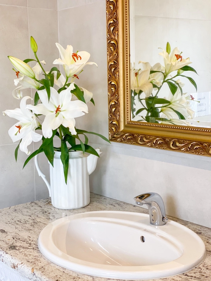 Galeria - zdjęcie 25