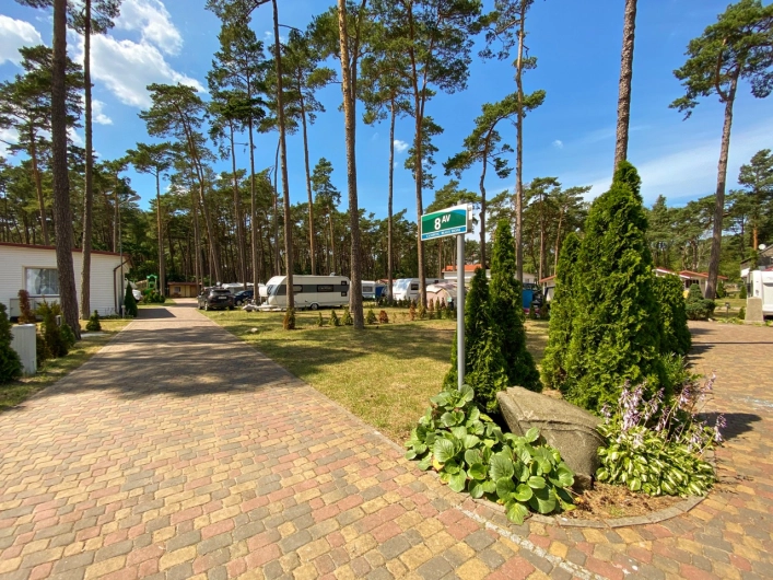 Galeria - zdjęcie 17