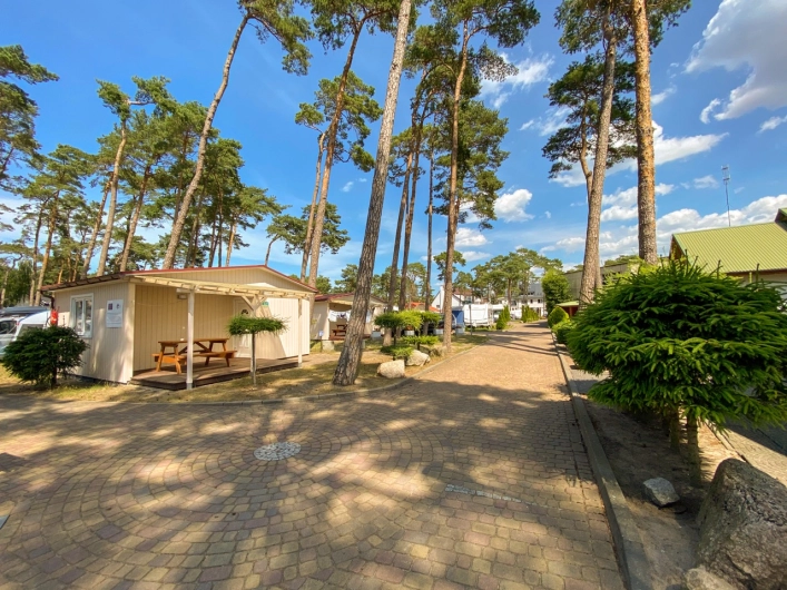 Galeria - zdjęcie 14