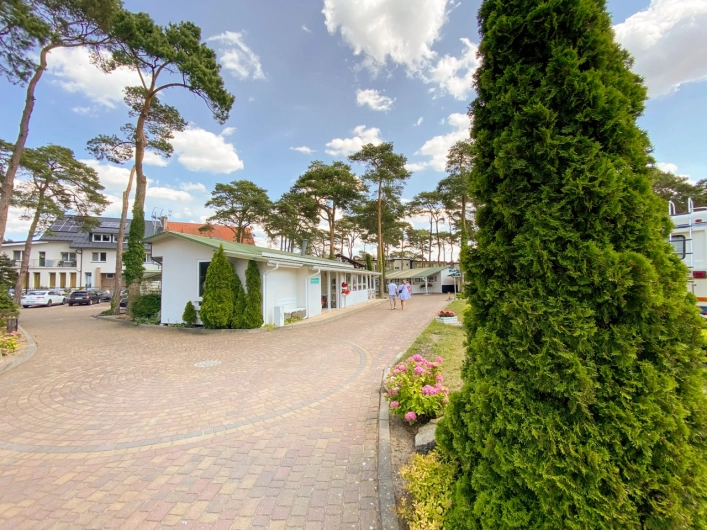 Galeria - zdjęcie 12