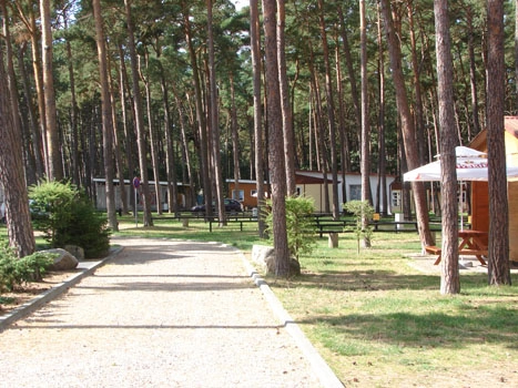 Galeria - zdjęcie 53