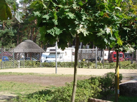 Galeria - zdjęcie 51