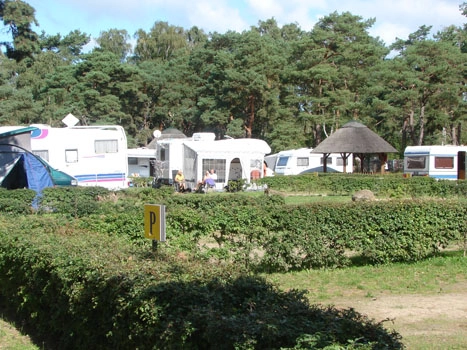 Galeria - zdjęcie 50