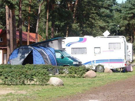 Galeria - zdjęcie 49