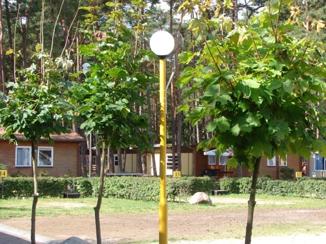 Galeria - zdjęcie 47