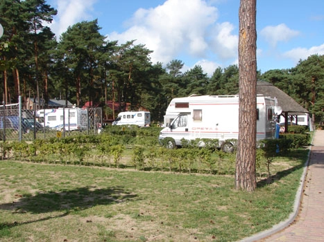 Galeria - zdjęcie 45