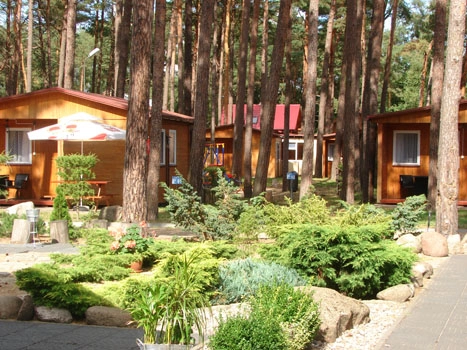 Galeria - zdjęcie 40