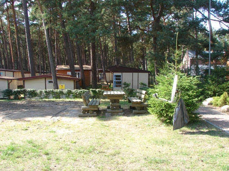 Galeria - zdjęcie 39