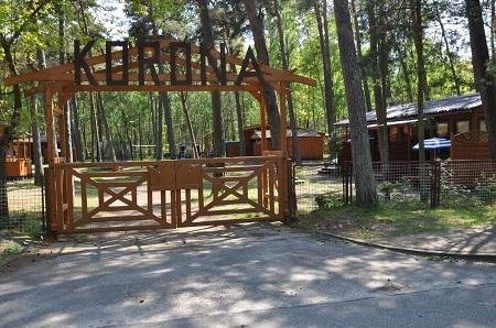 Galeria - zdjęcie 7