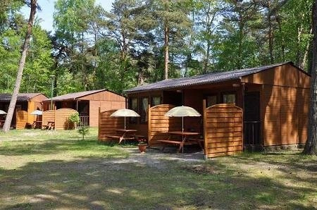 Galeria - zdjęcie 4