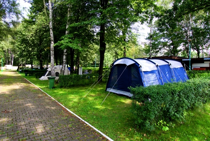 Galeria - zdjęcie 10