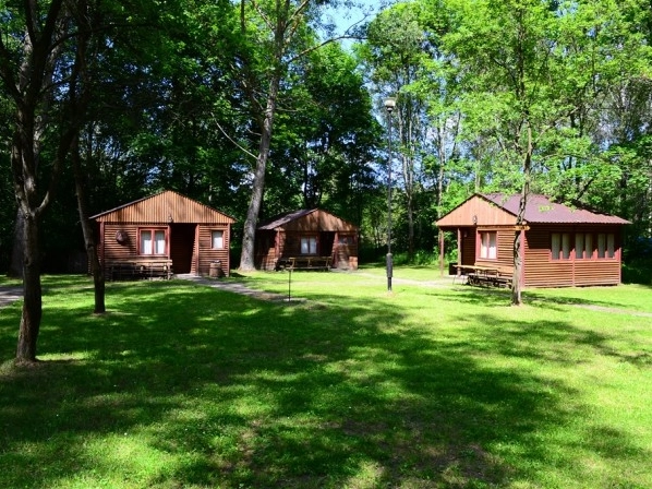 Galeria - zdjęcie 16