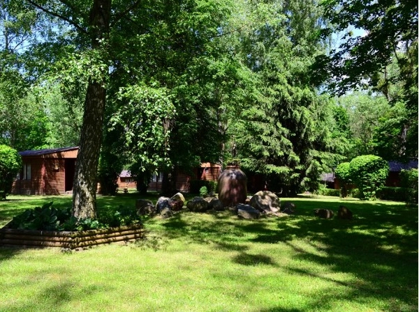 Galeria - zdjęcie 14